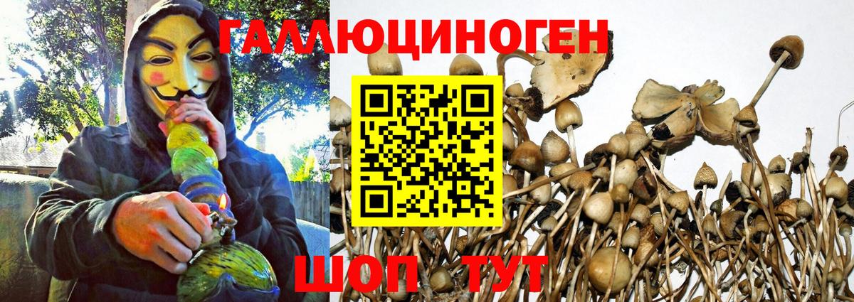 Бийск  дарнет шоп  Вход с VPN  Псилоцибиновые грибы Magic Shrooms 